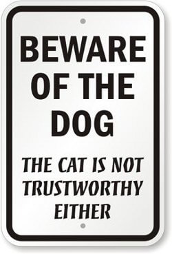Sign: Beware of the Dog - the Cat is not Trustworthy Either