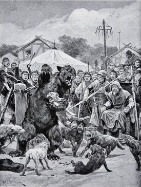 Old engraving showing dogs attacking a chained bear