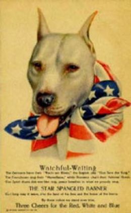 World War I poster with a Pit Bull as the patriotic representation of the United States.